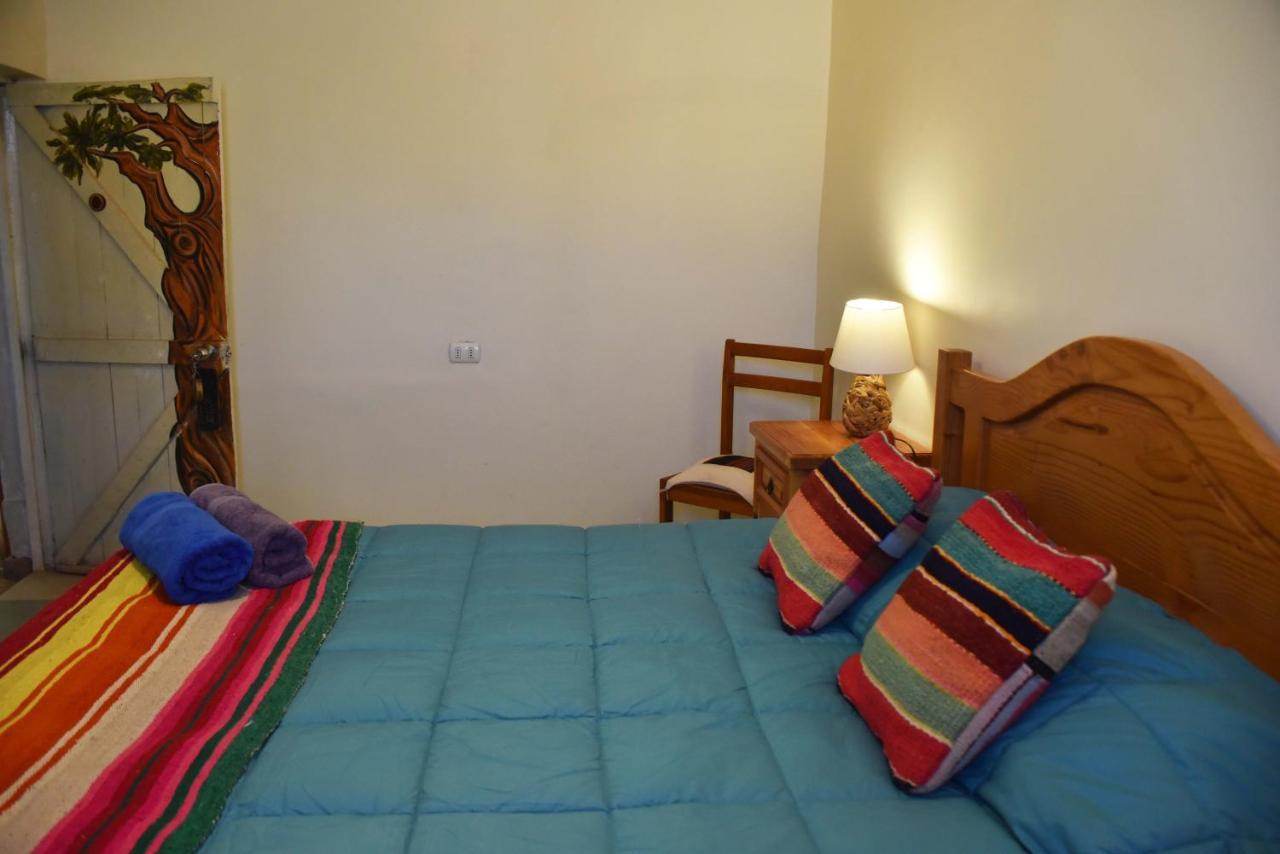Hostal Ayni 圣佩德罗·德·阿塔卡马 外观 照片